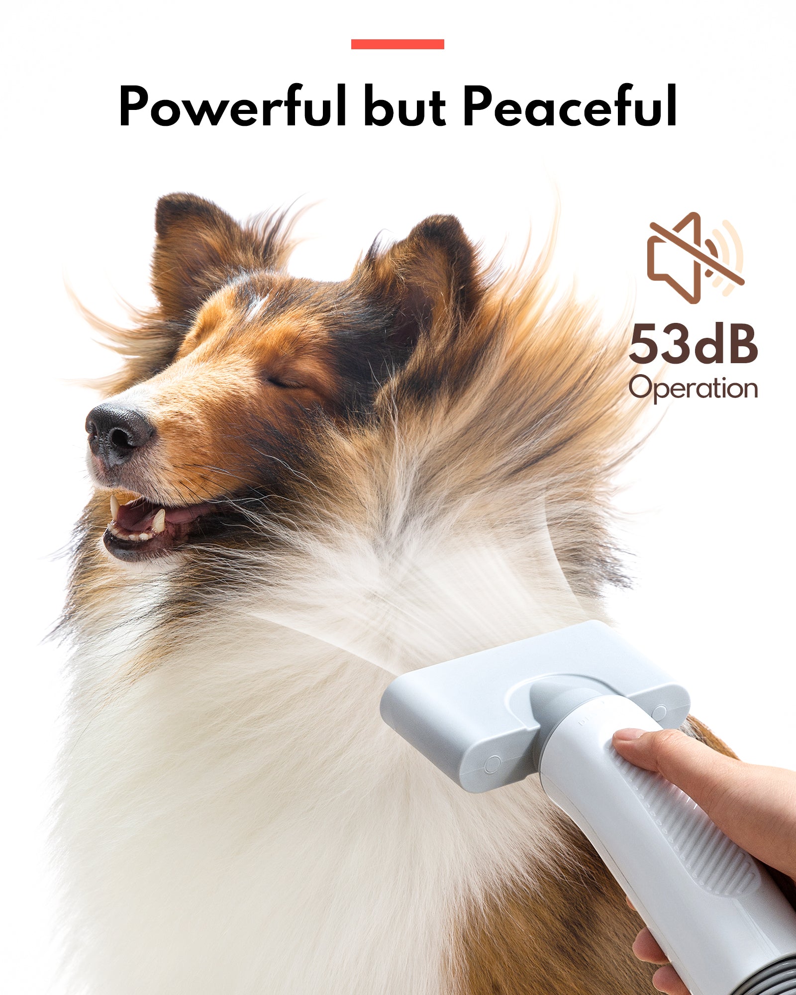 Quiet hair dryer for pets hotsell