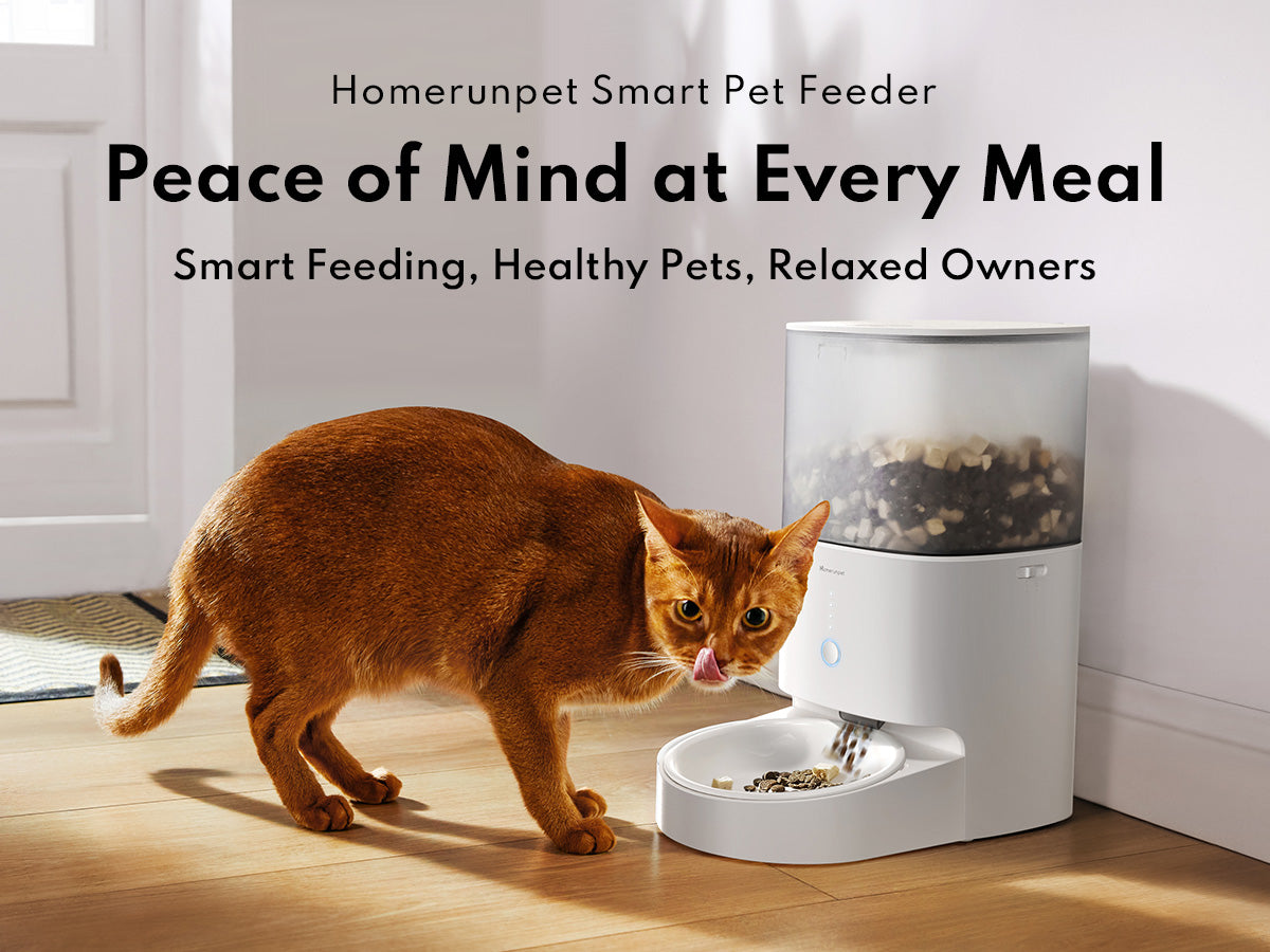 Home run pet feeder hotsell