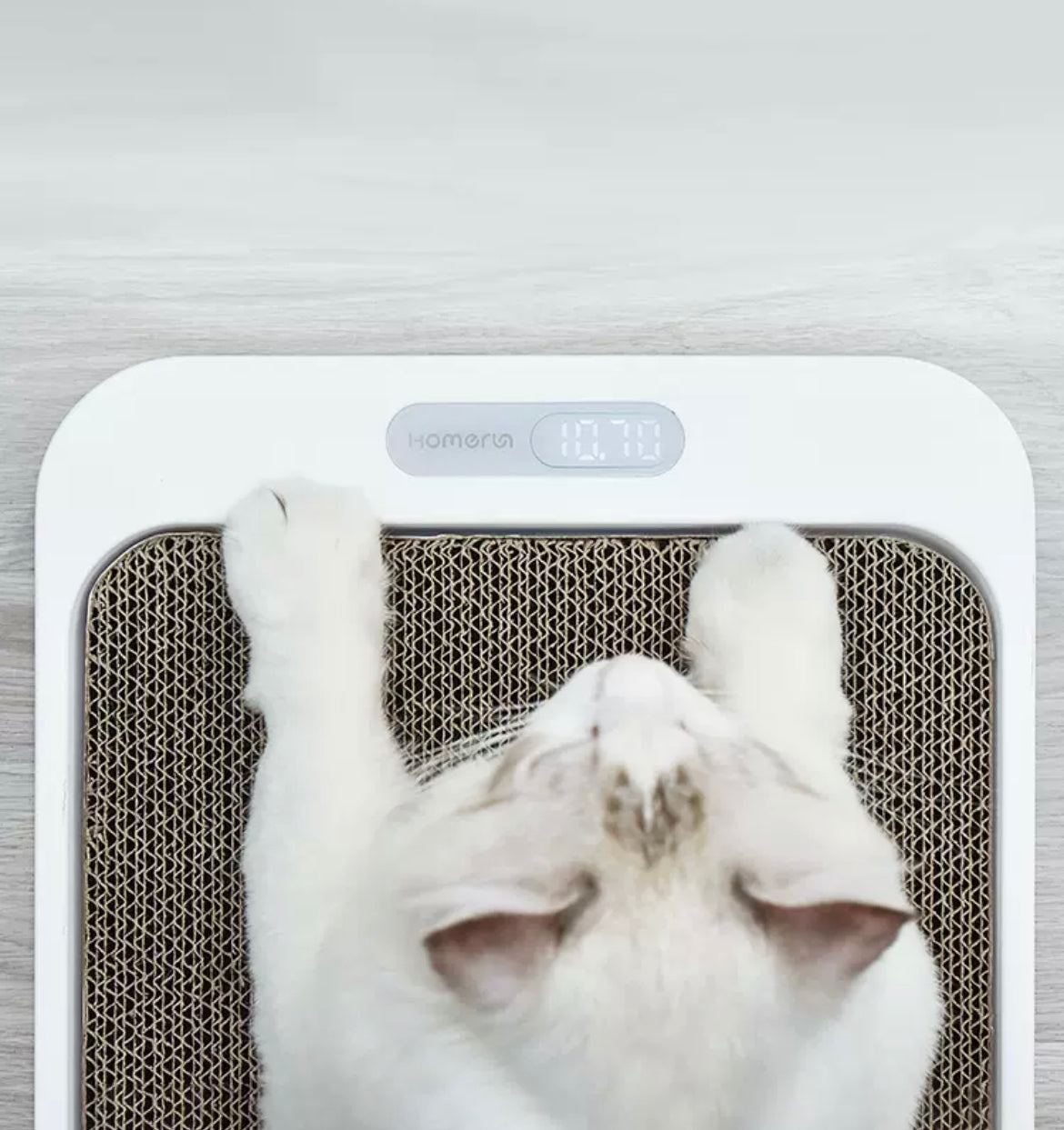 HomerunPet Weight Pet Scale