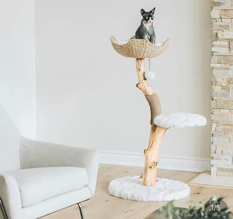 Cat Tree