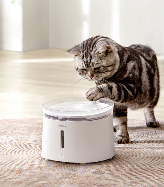 HomerunPet Cat Water Fountain with Wireless Pump